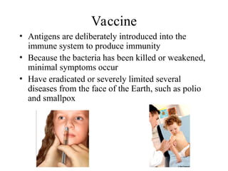 Vaccine
• Antigens are deliberately introduced into the
immune system to produce immunity
• Because the bacteria has been killed or weakened,
minimal symptoms occur
• Have eradicated or severely limited several
diseases from the face of the Earth, such as polio
and smallpox
 