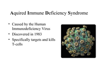 Aquired Immune Deficiency Syndrome
• Caused by the Human
Immunodeficiency Virus
• Discovered in 1983
• Specifically targets and kills
T-cells
 
