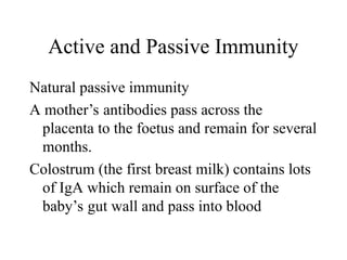 Active and Passive Immunity
Natural passive immunity
A mother’s antibodies pass across the
placenta to the foetus and remain for several
months.
Colostrum (the first breast milk) contains lots
of IgA which remain on surface of the
baby’s gut wall and pass into blood
 