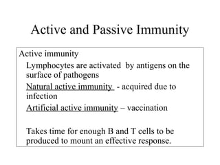 Active immunity
Lymphocytes are activated by antigens on the
surface of pathogens
Natural active immunity - acquired due to
infection
Artificial active immunity – vaccination
Takes time for enough B and T cells to be
produced to mount an effective response.
Active and Passive Immunity
 