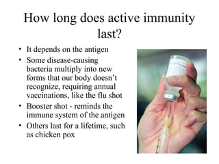 How long does active immunity
last?
• It depends on the antigen
• Some disease-causing
bacteria multiply into new
forms that our body doesn’t
recognize, requiring annual
vaccinations, like the flu shot
• Booster shot - reminds the
immune system of the antigen
• Others last for a lifetime, such
as chicken pox
 