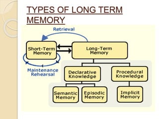 TYPES OF LONG TERM
MEMORY
 