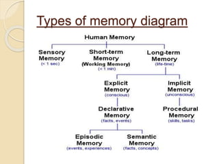 Types of memory diagram
 