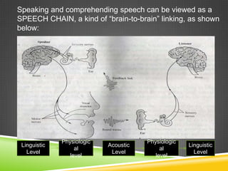 Speaking and comprehending speech can be viewed as a
SPEECH CHAIN, a kind of “brain-to-brain” linking, as shown
below:




              Physiologic              Physiologic
 Linguistic                 Acoustic                 Linguistic
                   al                       al
   Level                     Level                     Level
                 level                    level
 