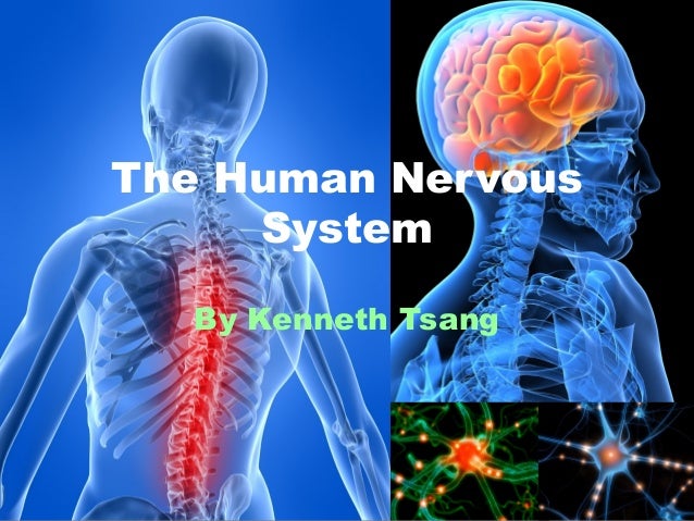 grade 9 intra the human nervous system reference grade 9 intra the human nervous system reference