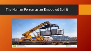 The Human Person as an Embodied Spirit
 