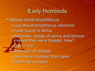 Early Hominids
Genus Australopithecus
– LucyAustralopithecus afarensis
– Fossil found in Africa
– Hominids—shape of pelvis and femurs
  showed they were bipedal. How?
– Short—3’6’’
– Brain size of chimps
– Jaws more rounded than apes
– Teeth like humans
 