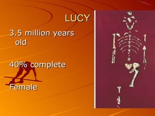 LUCY
3.5 million years
 old

40% complete

Female
 