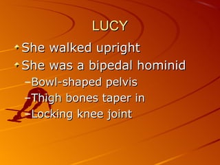 LUCY
She walked upright
She was a bipedal hominid
–Bowl-shaped pelvis
–Thigh bones taper in
–Locking knee joint
 