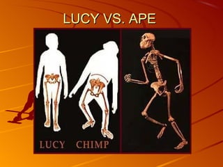 LUCY VS. APE
 