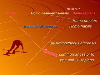 Mated????
APES       Homo neanderthalensis     Homo sapiens

                                    Homo erectus
       transitional species        Homo habilis



                       Australopithecus afarensis

                              common ancestor to
                               ape and H. sapiens
 