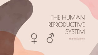 THE HUMAN
REPRODUCTIVE
SYSTEM
Year 8 Science
♀ ♂
 