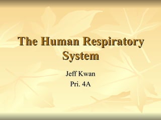 The Human Respiratory System Jeff Kwan Pri. 4A 