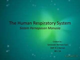 The Human Respiratory System
Sistem Pernapasan Manusia
Created by :
Saraswati Nirmala Suci
SMP N 1 Sleman
8D / 24
 
