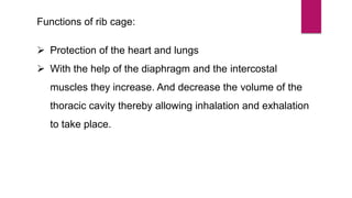 Functions of rib cage:
 Protection of the heart and lungs
 With the help of the diaphragm and the intercostal
muscles they increase. And decrease the volume of the
thoracic cavity thereby allowing inhalation and exhalation
to take place.
 