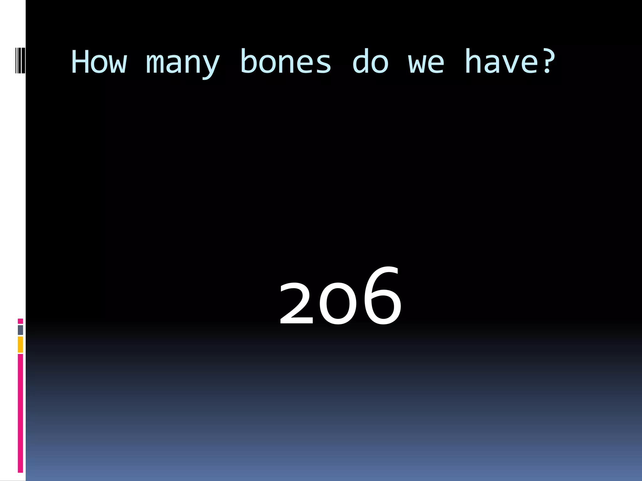 How many bones do we have?
206