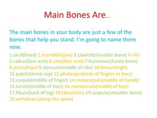 Main Bones Are...
The main bones in your body are just a few of the
bones that help you stand. I’m going to name them
now.
1.skull(head) 2.mandible(jaw) 3.clavicle(shoulder bone) 4.ribs
5.radius(fore arm) 6.ulna(fore arm) 7.humerous(funny bone)
8.pelvis(hips) 9.sternum(middle of ribs) 10.femur(thigh)
11.patella(knee cap) 12.phalanges(ends of fingers or toes)
13.carpals(middle of finger) 14.metacarpals(middle of hands)
15.tarsals(middle of toes) 16.metatarsals(middle of feet)
17.fibula(back of leg) 18.tibea(shin) 19.scapula(shoulder bone)
20.vertabrae (along the spine)
 