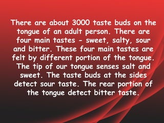 There are about 3000 taste buds on the
  tongue of an adult person. There are
  four main tastes - sweet, salty, sour
 and bitter. These four main tastes are
felt by different portion of the tongue.
  The tip of our tongue senses salt and
   sweet. The taste buds at the sides
 detect sour taste. The rear portion of
     the tongue detect bitter taste.
 