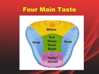 Four Main Taste
 