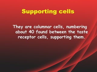 Supporting cells

They are columnar cells, numbering
 about 40 found between the taste
  receptor cells, supporting them.
 