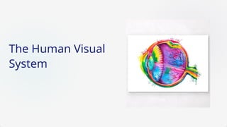 The Human Visual System in didgital image processing.pptx