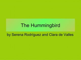 The Hummingbird by Serena Rodríguez and Clara de Valles 