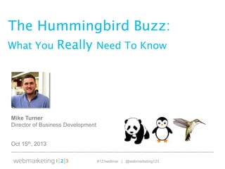 OVERVIEW

The Hummingbird Buzz:
What You

Really Need To Know

Mike Turner
Director of Business Development
Oct 15th, 2013
#123webinar | @webmarketing123

 