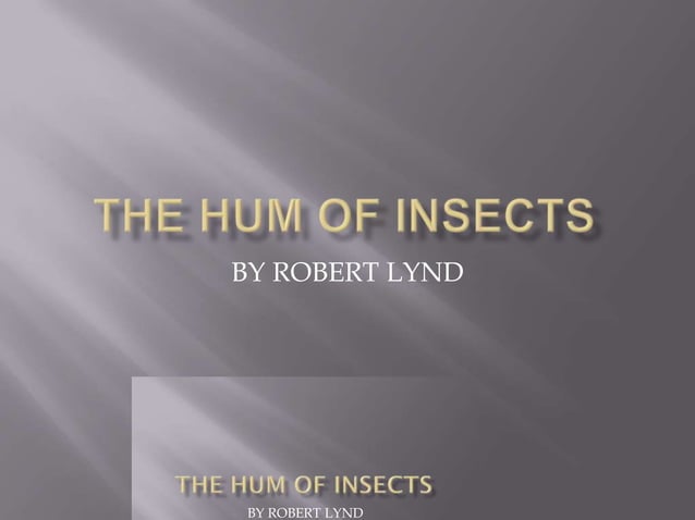 The hum of_insects | PPT