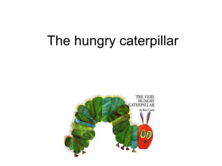 The hungry caterpillar 