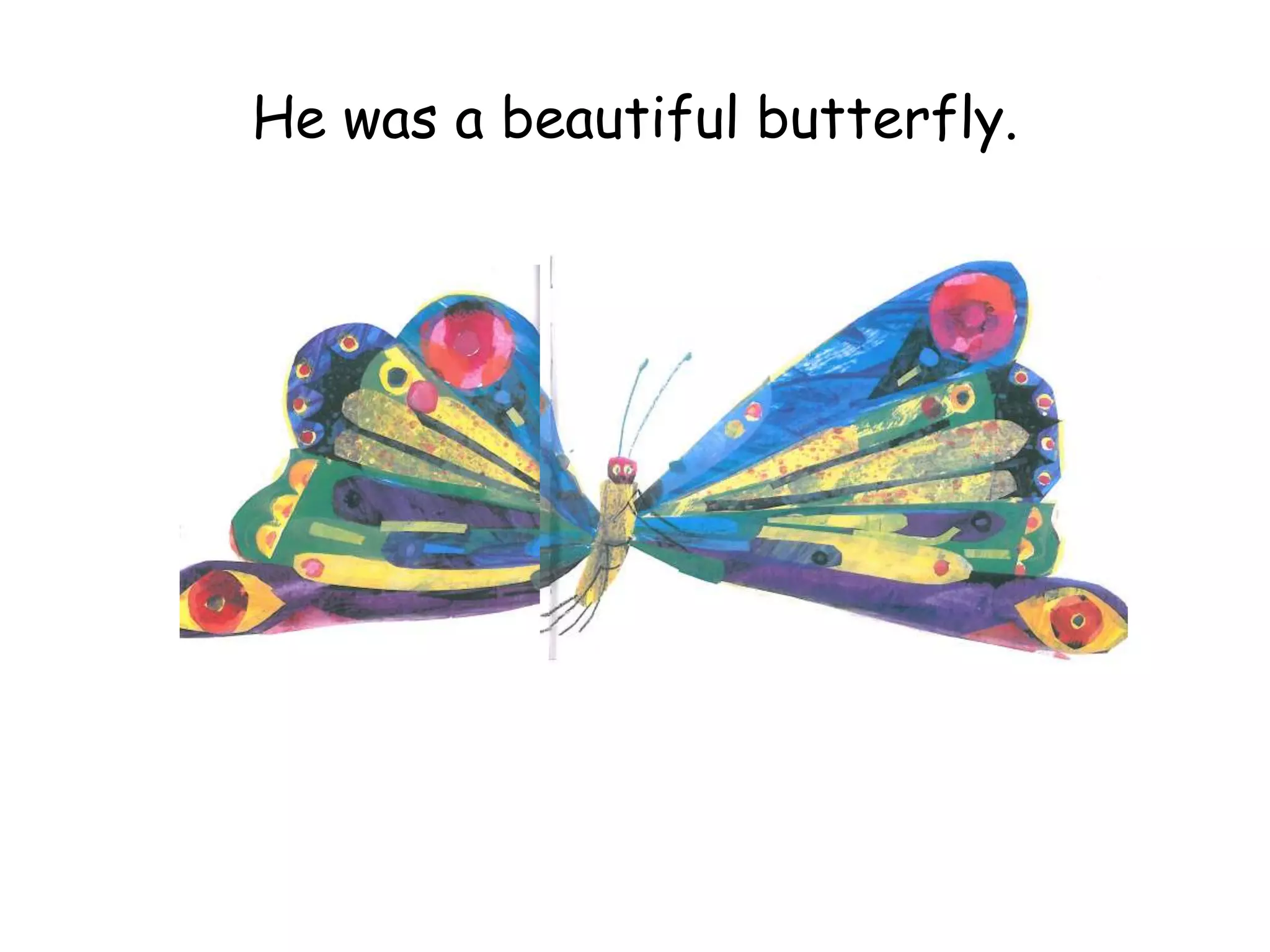 He was a beautiful butterfly.
 