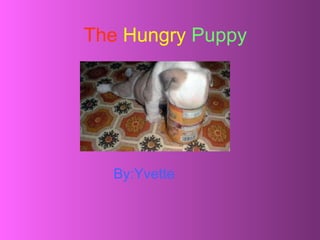 The   Hungry   Puppy By:Yvette 