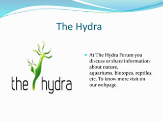 The hydra | PPTX | Zoos & Aquariums | Attractions