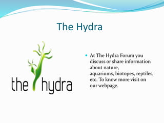 The Hydra 
 At The Hydra Forum you 
discuss or share information 
about nature, 
aquariums, biotopes, reptiles, 
etc. To know more visit on 
our webpage. 
 