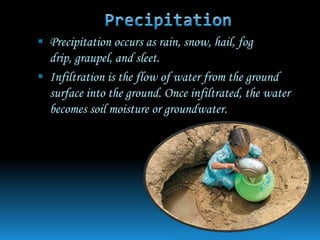  Precipitation occurs as rain, snow, hail, fog
  drip, graupel, and sleet.
 Infiltration is the flow of water from the ground
  surface into the ground. Once infiltrated, the water
  becomes soil moisture or groundwater.
 