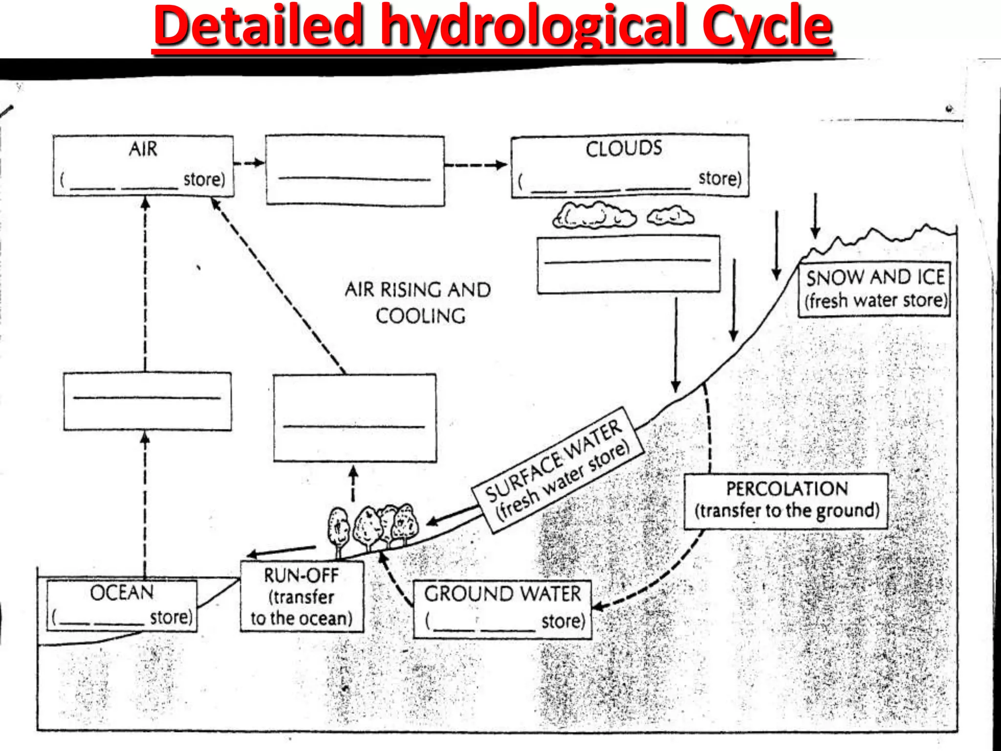 Detailed hydrological Cycle
 