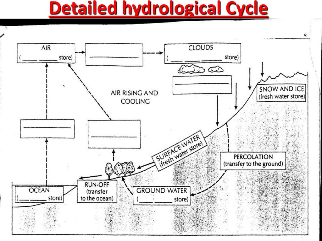 The hydrological cycle