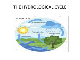 THE HYDROLOGICAL CYCLE
 