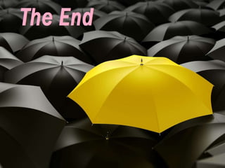 The Hydrological Cycle