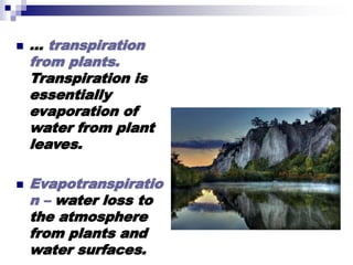  … transpiration
from plants.
Transpiration is
essentially
evaporation of
water from plant
leaves.
 Evapotranspiratio
n – water loss to
the atmosphere
from plants and
water surfaces.
 
