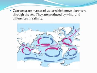  Currents: are masses of water which move like rivers
through the sea. They are produced by wind, and
differences in salinity.
 