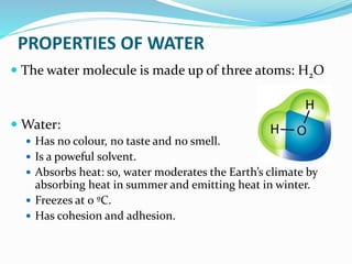 PROPERTIES OF WATER
 The water molecule is made up of three atoms: H2O
 Water:
 Has no colour, no taste and no smell.
 Is a poweful solvent.
 Absorbs heat: so, water moderates the Earth’s climate by
absorbing heat in summer and emitting heat in winter.
 Freezes at 0 ºC.
 Has cohesion and adhesion.
 