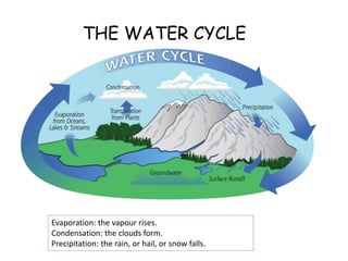 THE WATER CYCLE
Evaporation: the vapour rises.
Condensation: the clouds form.
Precipitation: the rain, or hail, or snow fa...
