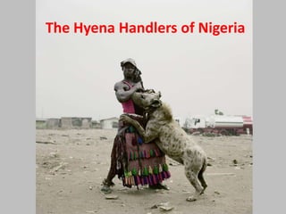 The Hyena Handlers of Nigeria
 