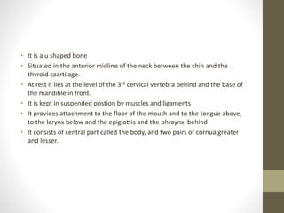 • It is a u shaped bone
• Situated in the anterior midline of the neck between the chin and the
thyroid caartilage.
• At rest it lies at the level of the 3rd cervical vertebra behind and the base of
the mandible in front.
• It is kept in suspended postion by muscles and ligaments
• It provides attachment to the floor of the mouth and to the tongue above,
to the larynx below and the epiglottis and the phraynx behind
• It consists of central part called the body, and two pairs of cornua,greater
and lesser.
 
