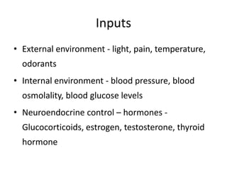 Inputs
• External environment - light, pain, temperature,
odorants
• Internal environment - blood pressure, blood
osmolality, blood glucose levels
• Neuroendocrine control – hormones -
Glucocorticoids, estrogen, testosterone, thyroid
hormone
 