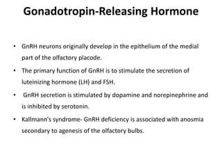 Gonadotropin-Releasing Hormone
• GnRH neurons originally develop in the epithelium of the medial
part of the olfactory placode.
• The primary function of GnRH is to stimulate the secretion of
luteinizing hormone (LH) and FSH.
• GnRH secretion is stimulated by dopamine and norepinephrine and
is inhibited by serotonin.
• Kallmann's syndrome- GnRH deficiency is associated with anosmia
secondary to agenesis of the olfactory bulbs.
 