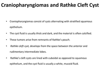 Craniopharyngiomas and Rathke Cleft Cyst
• Craniopharyngiomas consist of cysts alternating with stratified squamous
epithelium.
• The cyst fluid is usually thick and dark, and the material is often calcified.
• These tumors arise from remnants of Rathke's pouch.
• Rathke cleft cyst, develops from the space between the anterior and
rudimentary intermediate lobes.
• Rathke's cleft cysts are lined with cuboidal as opposed to squamous
epithelium, and the cyst fluid is usually a white, mucoid fluid.
 