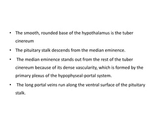 • The smooth, rounded base of the hypothalamus is the tuber
cinereum
• The pituitary stalk descends from the median eminence.
• The median eminence stands out from the rest of the tuber
cinereum because of its dense vascularity, which is formed by the
primary plexus of the hypophyseal-portal system.
• The long portal veins run along the ventral surface of the pituitary
stalk.
 