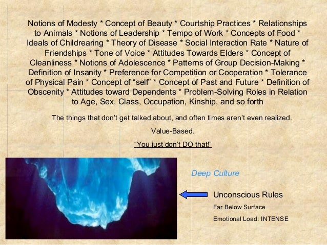 elective 1 the iceberg model of culture