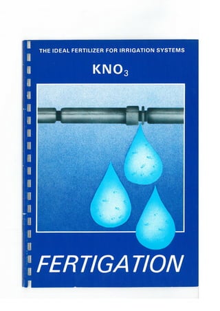 The ideal fertilizer for irrigation systems kno3 fertigation